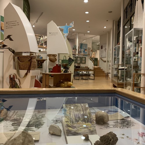 Beatrix Potter Exhibition