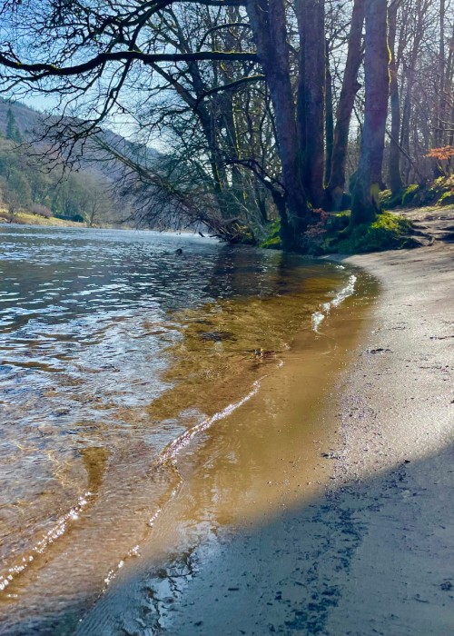 Tay images with edits